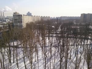 обзор смартфона Sony Xperia ZL