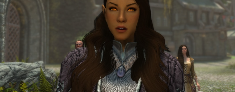 Прекращена разработка мультиплеера Skyrim Together. Вышло последнее обновление, а для Fallout Together не нашли разработчиков