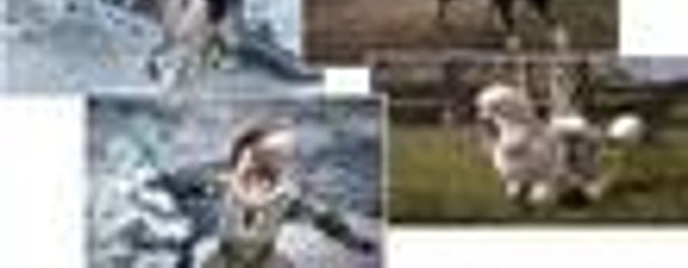 Dog Breed Pack для Fable III