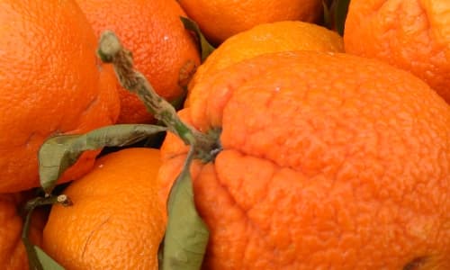 Обзор смартфона Huawei Ascend W1