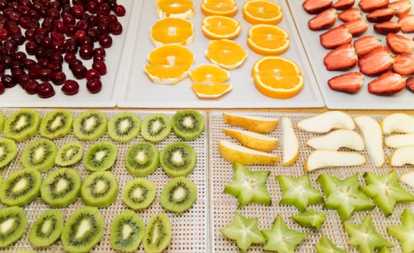 Дегидратор Rawmid DDV-06/07