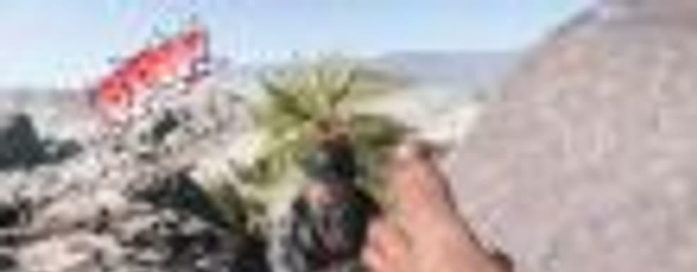 Забавная «пасхалка» в Battlefield V превращает пальцы героя в пистолет