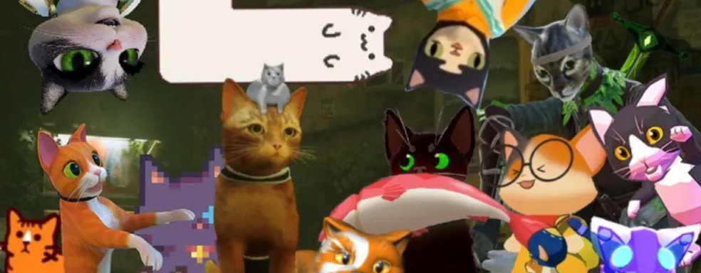 Экс-разработчик Valve готовит игру про котика и поддерживает релиз Stray кроссовером