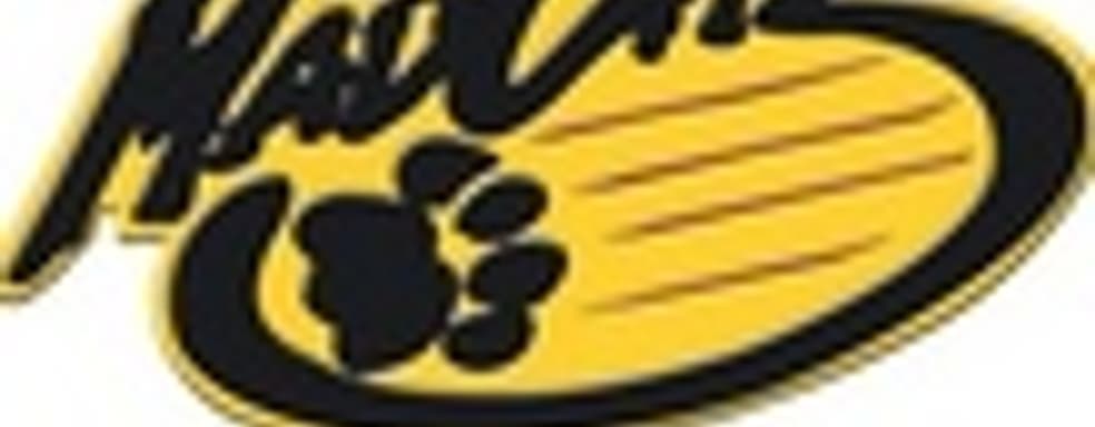 Mad Catz будет производить аксессуары под брендом Sonic