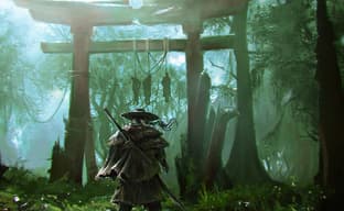 810 лет верхом на лошади и почти 9 миллионов поглаженных лисичек — Sucker Punch поделилась статистикой по Ghost of Tsushima