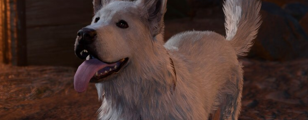 Игрок Baldur's Gate 3 развлекался с виртуальной собакой и разозлил настоящую, сидевшую рядом