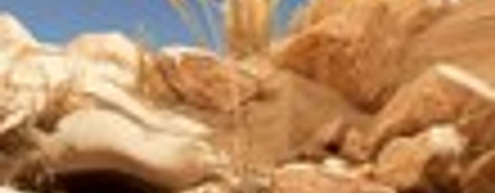 Golem для PlayStation VR показали в большом ролике