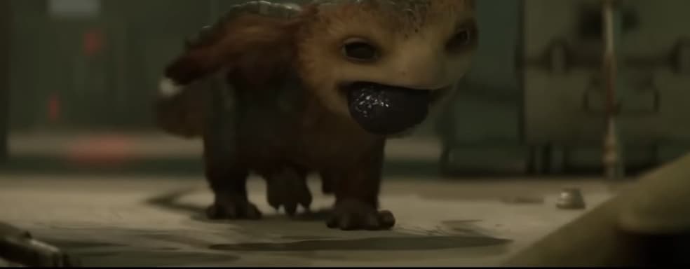 В видео Star Wars Outlaws рассказали о милом существе Никсе, напарнике Кей