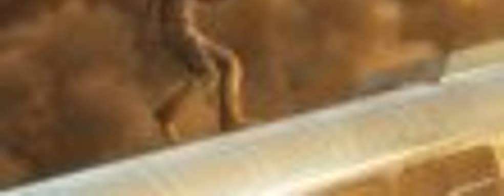 Первые официальные скриншоты Just Cause 3. Скидка 80% на Just Cause 2 в Steam