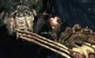 Новые скриншоты (Stargate Worlds, The Sims 3 и Gears of War 2)