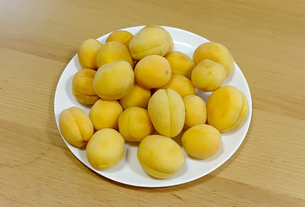 Мясорубка Kitfort KT-2101 Carnivora