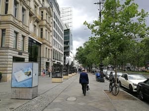 Примеры фотографий, сделанных на камеру Honor 9