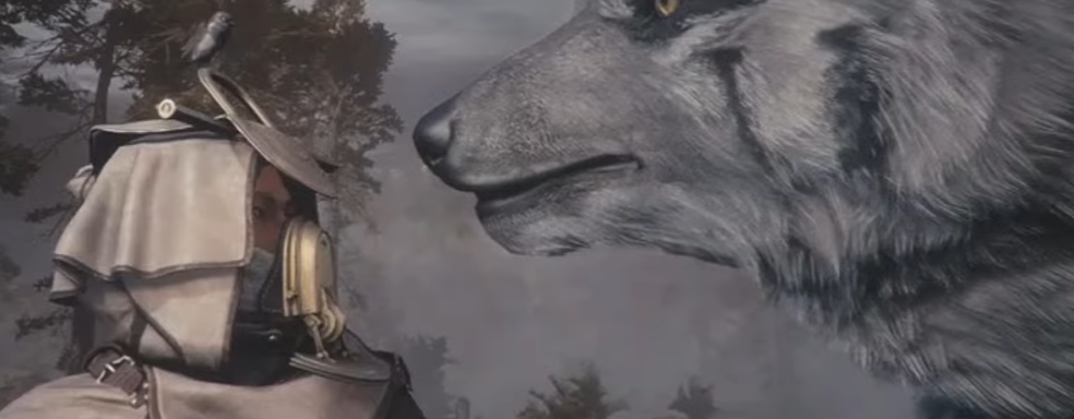 Создатели Warframe анонсировали новую игру Soulframe и показали красочный ролик