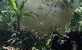 Crytek: все следующие игры не будут эксклюзивами