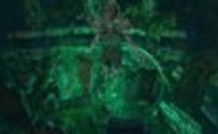 Дополнение Path of Exile: Forsaken Masters