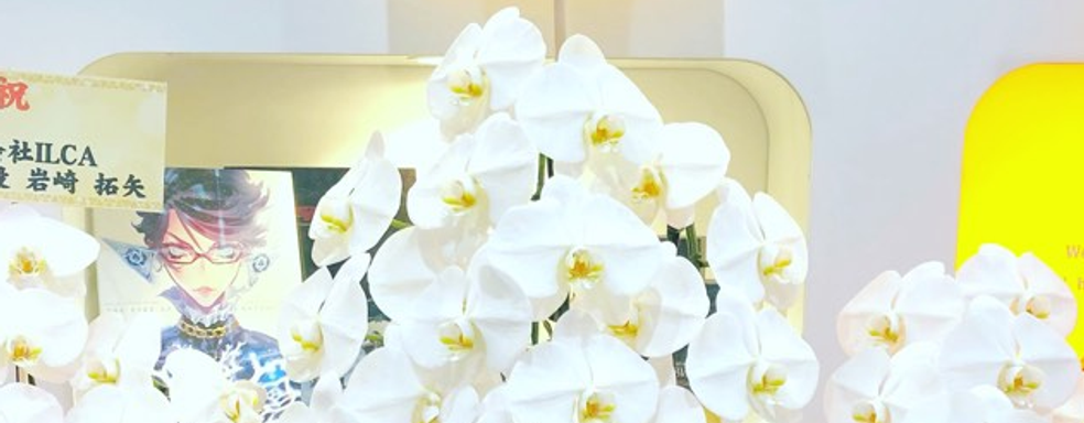 К главе Xbox обратился создатель Bayonetta и отменённой Scalebound. Он хочет вновь поработать вместе