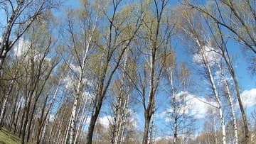 Экшн-камера HTC Re