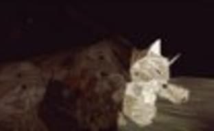 Свежий трейлер Shelter 2