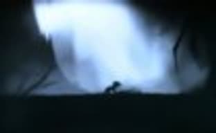 Два ролика Limbo