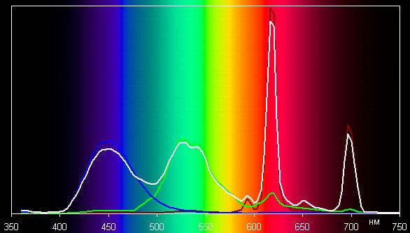Spectrum