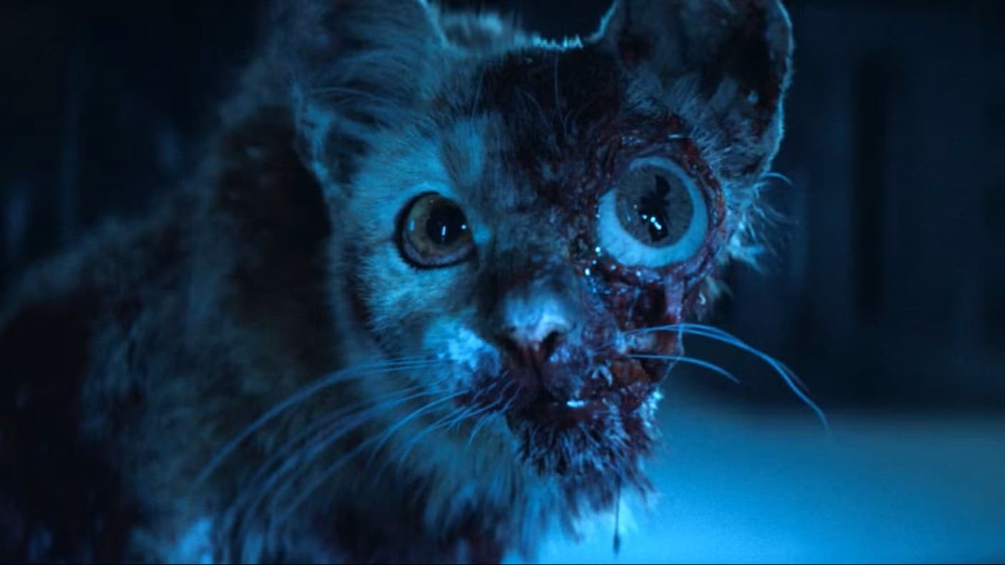 Кадр из сериала «Чужой: Земля»