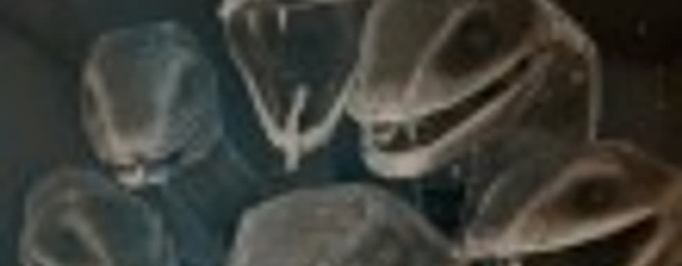 Aragami: длинная тень