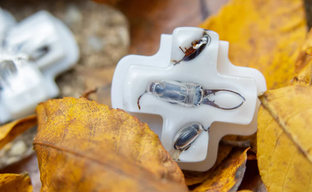 Для Steam Deck представили прозрачные крестовины с мёртвыми жуками внутри