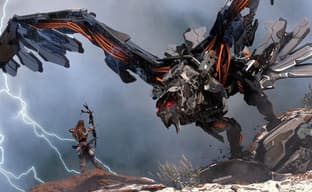 Покупаем PlayStation 5 – Sony обратилась к покупателям PC-версии Horizon Zero Dawn