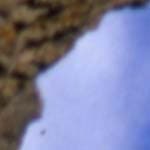 Epson Perfection 4870 Photo