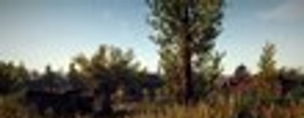 Дневники разработчиков Survarium - закрытый бета-тест