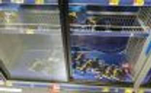 Закопайте это в пустыне: игрокам совсем не нужен Fallout 76