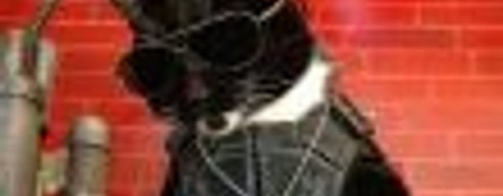 Годный косплей Киану на зависть: энтузиасты превратили кота в персонажа из Cyberpunk 2077