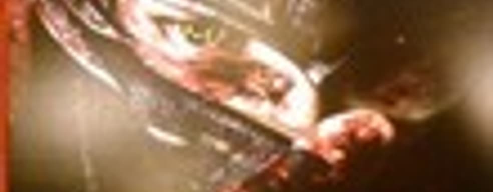 Концепт-арт Ninja Gaiden 3