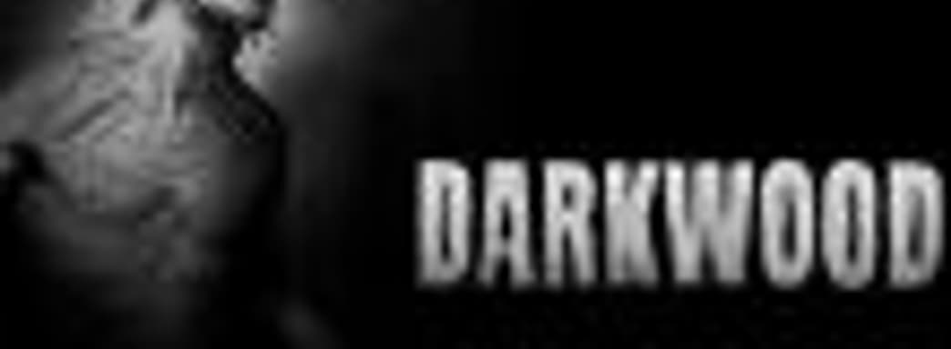 Разработчики хоррора Darkwood выложили полную версию игры на торрент-трекер