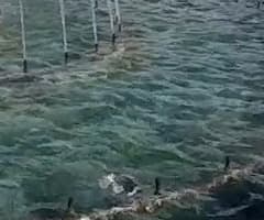 Экшн-камера GoPro Hero4 Session