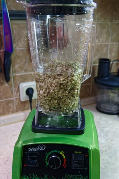 Профессиональный блендер Rawmid Dream Greenery BDG-07