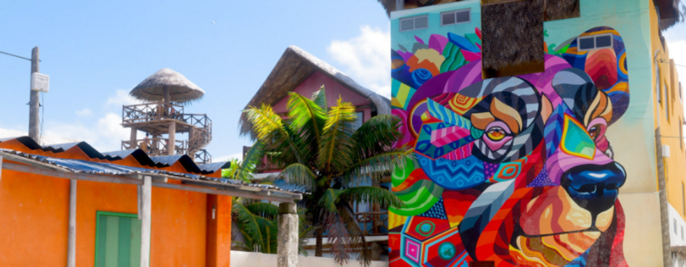 Forza Horizon 5 удалось запустить без видеокарты. Уровень оптимизации впечатлил зрителей