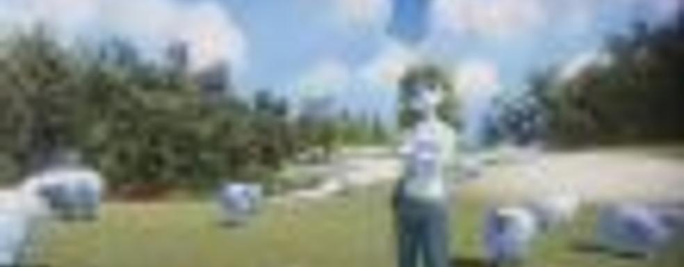 Проект The Good Life от создателя Deadly Premonition успешно профинансирован на Kickstarter