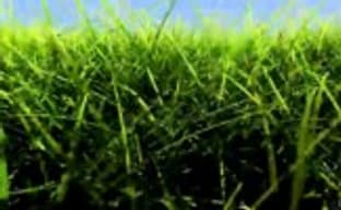 Nvidia показала новую технологию реалистичной симуляции травы