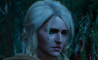 Шоураннер сериала The Witcher никогда не смеялась над книгами Сапковского. В Интернете просто врут