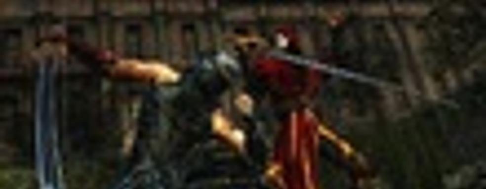 Ultimate Ninja Pack для Ninja Gaiden 3