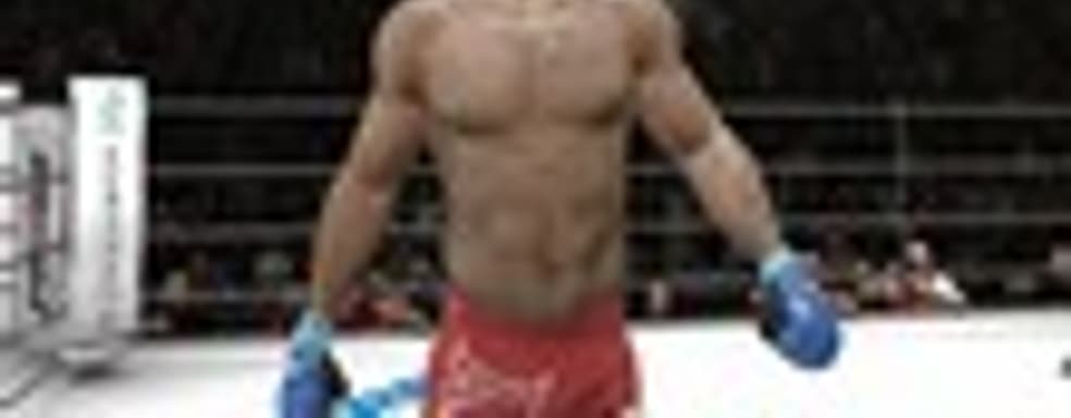 UFC Undisputed 3 не отбил вложенные средства. THQ продала ЕА лицензию UFC 