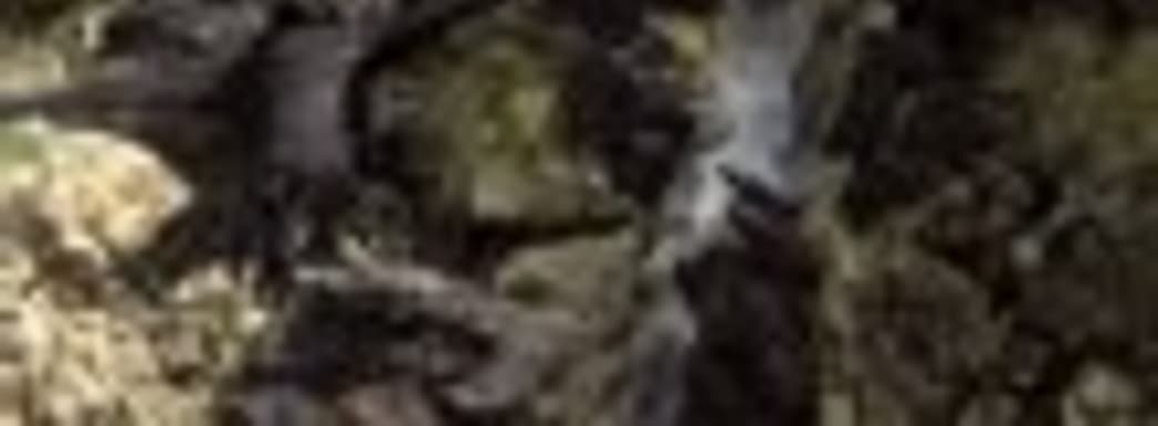 Трейлер Kingdom Under Fire II для PS4