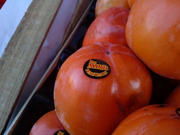 Обзор LG Optimus Vu