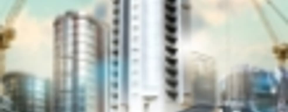 Cities: Skylines: районы-кварталы