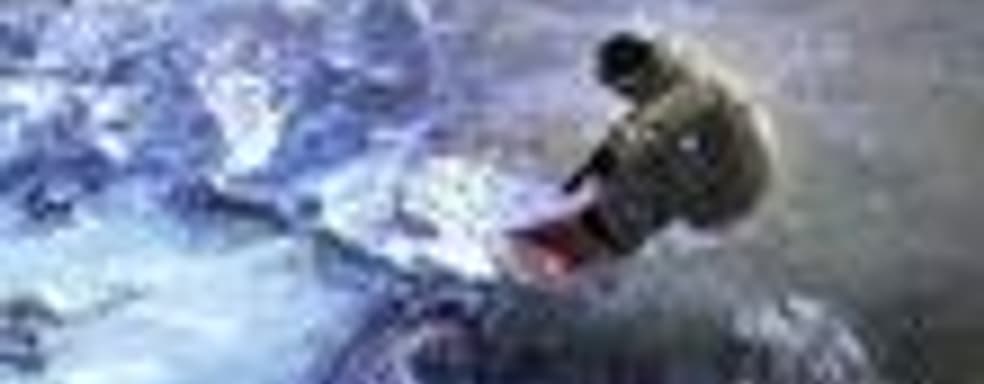 Ubidays 2008: симулятор сноубординга Shaun White Snowboarding для PC, PS3 и Xbox 360