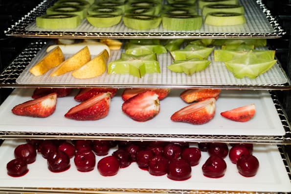 Дегидратор Rawmid DDV-06/07