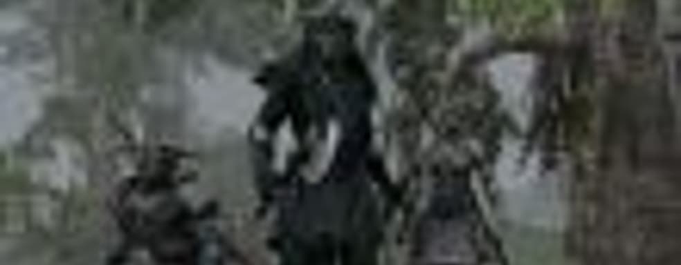 Представитель Bethesda заявил, что компания «в данный момент не разрабатывает The Elder Scrolls VI»