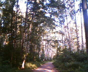 Photo sample, ASUS A730