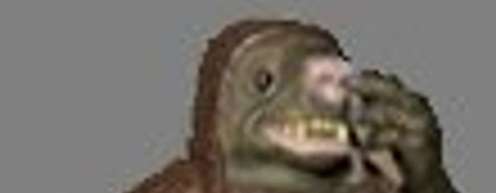 Комплектация коллекционного издания Risen